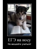 «ЕГЭ на носу»