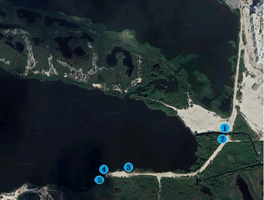 Точки отбора проб на озере Янтарное