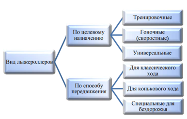Классификация лыжероллеров