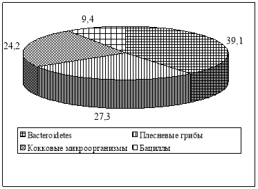 Характеристика микробного пейзажа старого снега