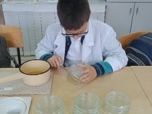 Подготовка материалов для исследования (фото автора)
