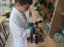 Подготовка материалов для исследования (фото автора)