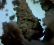 Особенности структуры цеолита