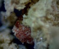 Особенности структуры цеолита