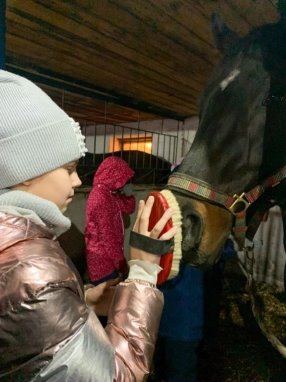 Чистка лошади и выполнение упражнений верхом на лошади