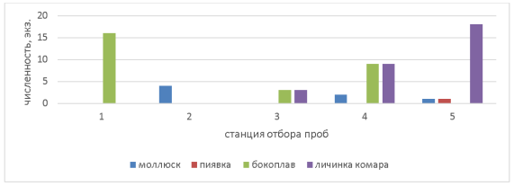 Численность организмов зообентоса на станциях Кантатского водохранилища (экз.)