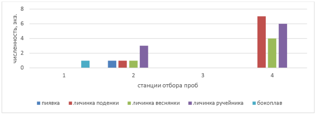 Численность организмов зообентоса на станциях ручья Байкал (экз.)