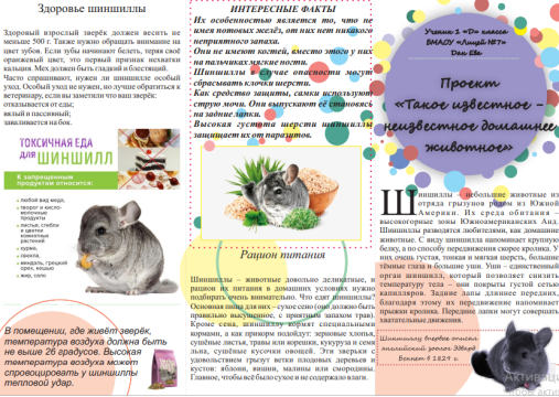 буклет 1.png