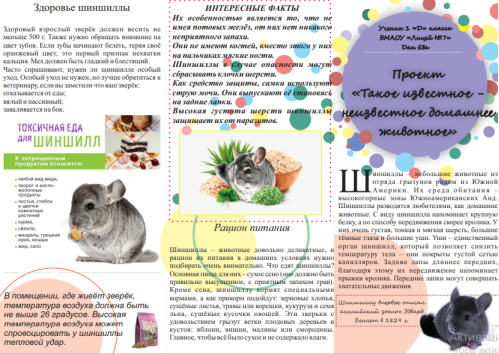 буклет 1.png