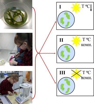 Схема постановки эксперимента