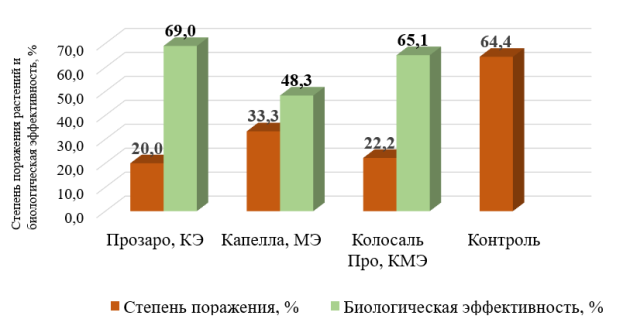 Степень поражения растений и биологическая эффективность применения фунгицидов триазолового класса против сетчатой пятнистости в полевых условиях, 2022 г.