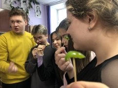 Органолептическая диагностика