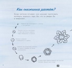 Описание: Иллюстрация 5 из 62 для Снег. Зимнее чудо - Кассино, Нельсон | Лабиринт - книги. Источник: Лабиринт