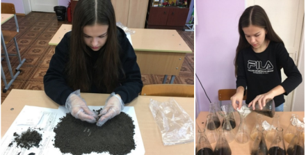 Удаление посторонних включений и приготовление водного раствора