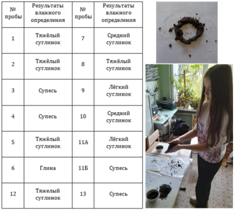 Гранулометрический состав почв