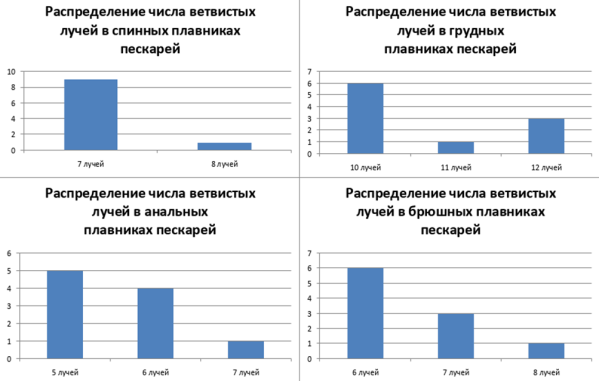 Распределение числа ветвистых лучей в плавниках пескарей
