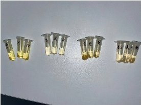 Фруктовое пюре Рис. 2 Экстракт после центрифуги