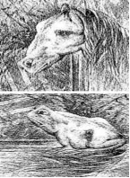 Рис. 4