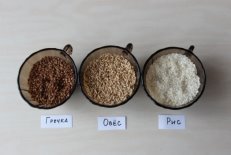 Образцы для эксперимента