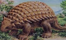 C:\Users\User\Desktop\ankylosaurus.jpg