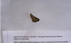 Курганный комплекс Таксай — 2 Курган 2–2 яма № 6 Западно-Казахстанская область конец ХIII — начале X в. до н. э.