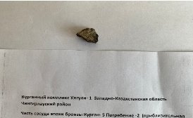 Курганный комплекс Улгули — 1 Курганный комплекс — 5 Погребение 2 Западно-Казахстанская область конец ХIII — начале X в. до н. э.