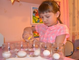 E:\Новая папка\Действие\DSC_0202.JPG