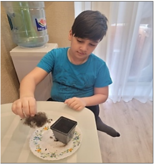 Эксперимент по биоразложению шерсти