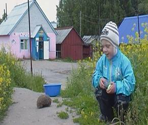 ежик