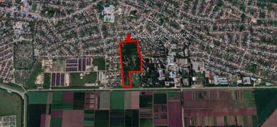 Дендрарий ФГБНУ «СКФНАЦ»