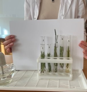 Результаты теста помутнения по Гертелю