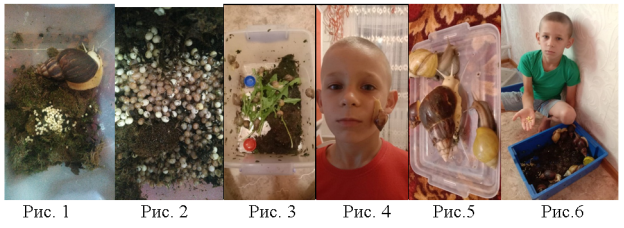 , 8).