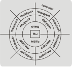 Круговая родословная