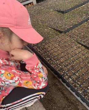 Уход за саженцами