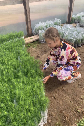 Упаковка для отправки заказчикам