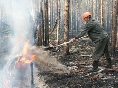 Засыпка кромки низового пожара грунтом
