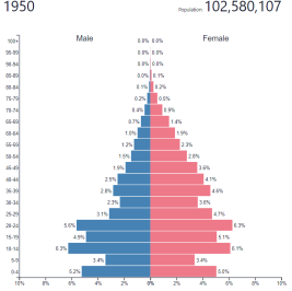 Половозрастная пирамида России, 1950 г.