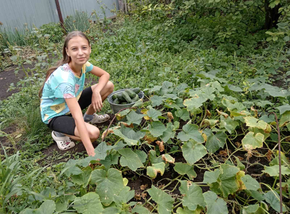 Массовое плодоношение