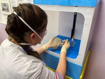 Высев Azotobacter методом истощающего штриха.