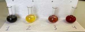 : 1. Голубика 2. Морковь 3. Краснокочанная капуста 4. Свекла