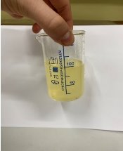 D:\Библиотека\Изображения\проект\IMG_0008.JPG