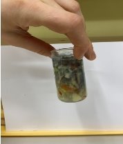 D:\Библиотека\Изображения\проект\IMG_0018.JPG