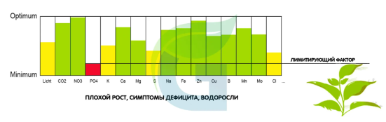 Закон минимума Либиха