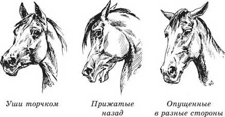 https://konspekta.net/studopedianet/baza3/54129816323.files/image004.jpg