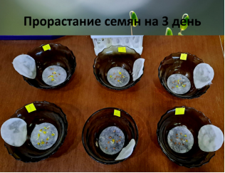 C:\Users\Q0638\OneDrive\Рабочий стол\Презентация\17.png