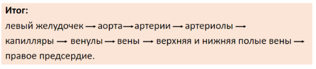 Работа большого круга кровообращения [1]