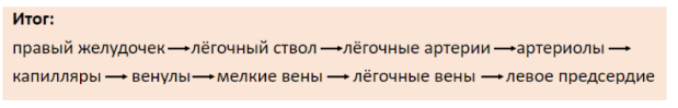 Работа малого круга кровообращения [1]