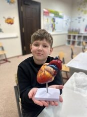 «Макет сердца»