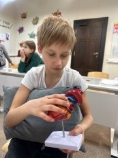 «Макет сердца»