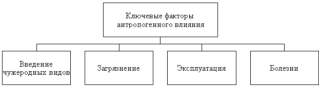 Ключевые факторы антропогенного влияния